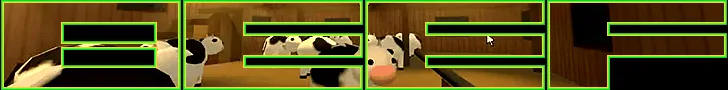 BEEF banner